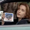 oceanic1996