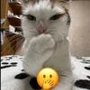 xkim_01