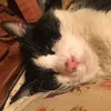 kotteri_1125