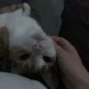 nikita_r07