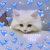 kleo030608