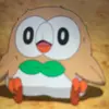 the_rowlets