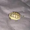 turtlemayki