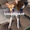 lovedemiela0
