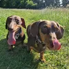 cocoandwinnie