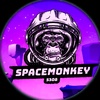 spacemonkey53080