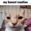 reformed_manual