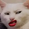 nguyenphuocthien_177