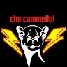 cammellinopanino