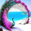 amal.hayati12345
