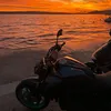 saric_je