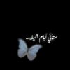 user934200105