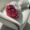 arwanaseer2