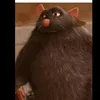 gitraton
