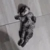 nhwhagg