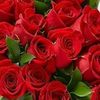 anjumjaved3