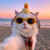 elaine_5549