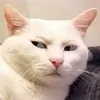 keobonggon_1990