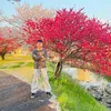 nguyenthequyet88