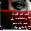 user976610960