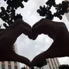 elainepaiva9149