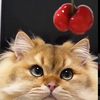 cherrysweet_21