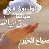 abedaljalilbouhla