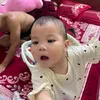 lingg061203