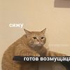 abobus_abobaono