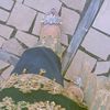 stylishhqueen0