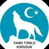 şahin
