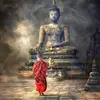 Cuộc Sống Nhân Quả 👃