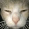 clement_9721