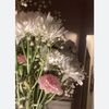 sus_ma68