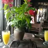 za_han6