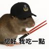 zilla_funs