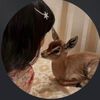 lolo_uae34