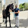 mohammadabonabil