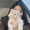 nadiratalawsaf35