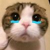 keometa0