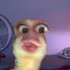 unboxlinhtinh.14