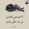 fm____959