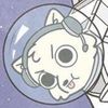 dogspacerace