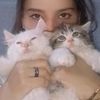 user622733264bushramalik