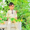 qaisarpoly