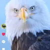 husseinalnoory