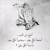 alkaesr.hasan