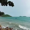 bichdao.1