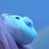 dead_mushr00m