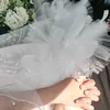 tani29123